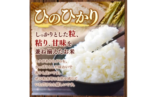 令和6年産   【定期便12回】 熊本県産 ひのひかり 無洗米 20kg | 小分け 5kg × 4袋  熊本県産 特A獲得品種 米 無洗米 ごはん 銘柄米 ブランド米 単一米 人気 日本遺産 菊池川流域 こめ作り ごはん ふるさと納税 返礼品 