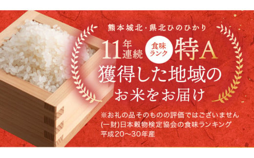 令和6年産   【定期便12回】 熊本県産 ひのひかり 無洗米 20kg | 小分け 5kg × 4袋  熊本県産 特A獲得品種 米 無洗米 ごはん 銘柄米 ブランド米 単一米 人気 日本遺産 菊池川流域 こめ作り ごはん ふるさと納税 返礼品 