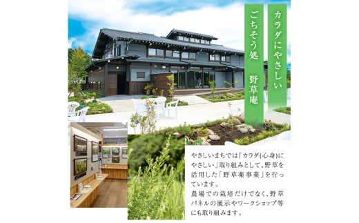 isa470 からだにやさしい「野草メドハギケーキ」セット ふるさと納税 伊佐市 特産品 鹿児島 メドハギ茶 お茶 健康茶 茶 ティー 薬草 野草 ケーキ シフォンケーキ 洋菓子 お菓子 焼き菓子 スイーツ ギフト 贈り物 プレゼント【やさしいまち】