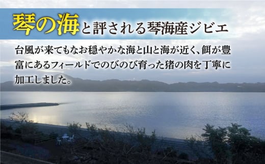 【全6回定期便】 【数量限定】猪肉 切り落とし 200g×3 イノシシ肉 ジビエ 小分け 長崎県/きんかいジビエ組合 [42AABX004]