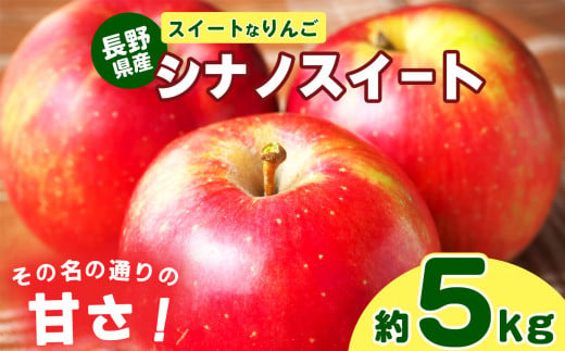 スイートなりんご シナノスイート 約5kg ❘ 果物 フルーツ りんご リンゴ 林檎 信州りんご 信州産 長野県産りんご シナノスイート 千曲市 長野県 信州 先行予約