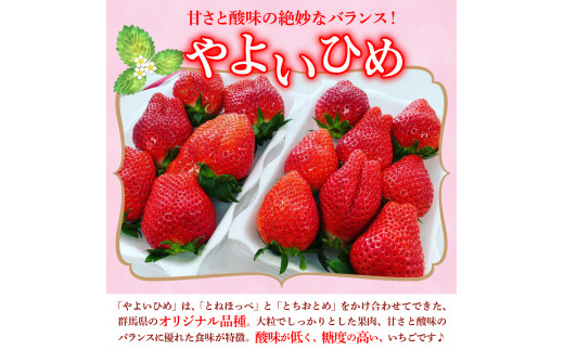 《先行予約》2月より順次発送※ いちご「 やよいひめ 」約350g×6パック 群馬県 千代田町 大粒 完熟収穫 大容量 とれたて 新鮮 送料 無料 数量 限定 甘い 豊かな 香り 贅沢 ご褒美 イチゴ ストロベリー 贈答 贈り物 ギフト プレゼント 家族 で 楽しむ フルーツ