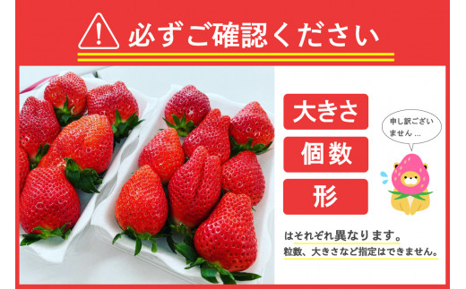 《先行予約》2月より順次発送※ いちご「 やよいひめ 」約350g×6パック 群馬県 千代田町 大粒 完熟収穫 大容量 とれたて 新鮮 送料 無料 数量 限定 甘い 豊かな 香り 贅沢 ご褒美 イチゴ ストロベリー 贈答 贈り物 ギフト プレゼント 家族 で 楽しむ フルーツ