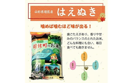 1062T11　【定期便】遊佐産はえぬき10kg×6ヶ月連続（11月～4月）