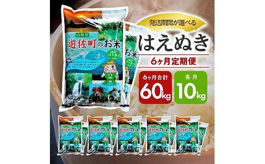 1062T11　【定期便】遊佐産はえぬき10kg×6ヶ月連続（11月～4月）