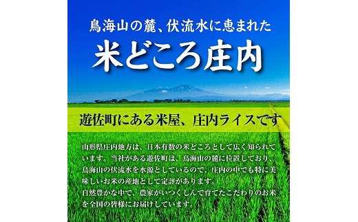 1062T11　【定期便】遊佐産はえぬき10kg×6ヶ月連続（11月～4月）