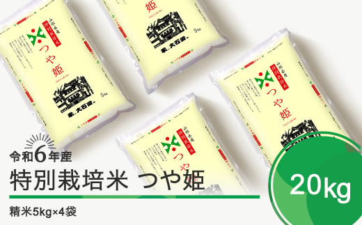 新米 令和6年11月下旬発送 つや姫 20kg 精米 令和6年産 ja-tssxb20-11s