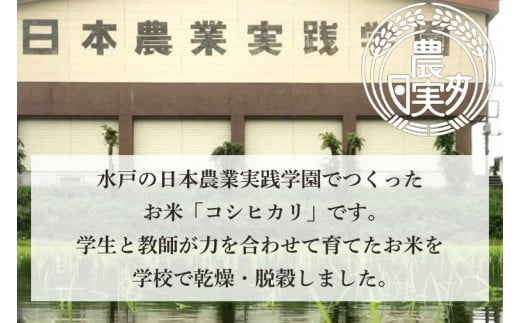 【5ヶ月定期便】【令和6年産】学生と作ったコシヒカリ計50kg（10kg×5回）【お米 米 コメ ごはん 10万円以内 50キロ 茨城県 水戸市 水戸】（DN-24）