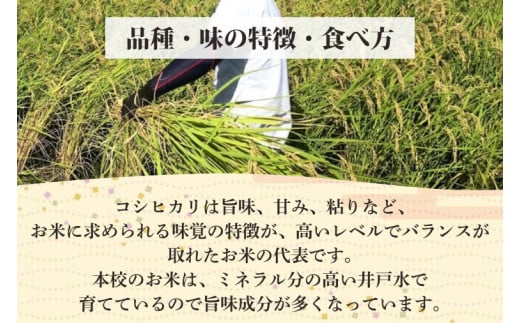 【5ヶ月定期便】【令和6年産】学生と作ったコシヒカリ計50kg（10kg×5回）【お米 米 コメ ごはん 10万円以内 50キロ 茨城県 水戸市 水戸】（DN-24）