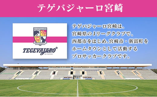 テゲバジャーロ宮崎 応援グッズセット サッカー Jリーグクラブ スポーツ＜1-11＞