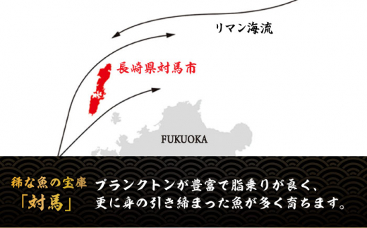 【全3回定期便】べっぴんあなご・トロの華の詰め合わせ《対馬市》【桐谷商店】対馬 新鮮 マグロ 鮪 赤身 中トロ 大トロ アナゴ 穴子 魚介 刺身 鮮度抜群 ご褒美 [WAQ009]