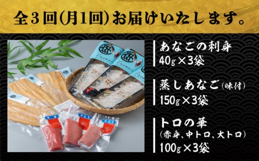 【全3回定期便】べっぴんあなご・トロの華の詰め合わせ《対馬市》【桐谷商店】対馬 新鮮 マグロ 鮪 赤身 中トロ 大トロ アナゴ 穴子 魚介 刺身 鮮度抜群 ご褒美 [WAQ009]