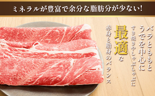 くまもとあか牛 すき焼き・しゃぶしゃぶ用 計500g すき焼き しゃぶしゃぶ  熊本県 ブランド牛 あか牛 肉 ヘルシー  赤身 牛肉 スライス ごちそう 105-0503