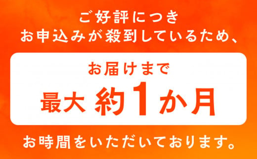 【サキホコレ米粉使用】かたがみシュー（プレーン／いちご）2種12個入　サキホコレ 米粉 使用 シュークリーム 甘さ控えめ 冷凍 小分け カスタード 苺 お土産 お菓子 洋菓子 デザート お取り寄せ スイーツ スィーツ人気 ランキング おすすめ 敬老の日 秋田 潟上 潟上市 送料無料【サインマーケット】