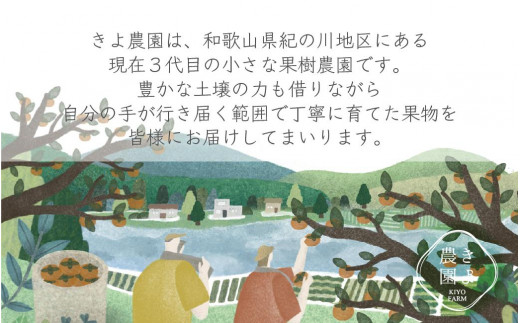 特大まりひめイチゴ 朝摘 6個～11個入×4パック【2025年1月中旬頃より発送】【先行予約】【KT4】