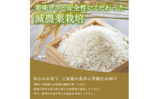 【令和6年産】新米 減農薬コシヒカリ 精米 5kg  【 米 コシヒカリ こしひかり 5キロ 5kg 精米 白米 こめ コメ お米 おこめ 農家直送 減農薬 低農薬 綾部 京都 森本ファーム 】