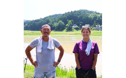 【令和6年産】新米 減農薬コシヒカリ 精米 5kg  【 米 コシヒカリ こしひかり 5キロ 5kg 精米 白米 こめ コメ お米 おこめ 農家直送 減農薬 低農薬 綾部 京都 森本ファーム 】