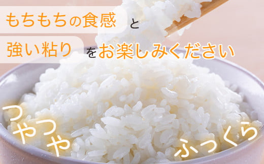 ≪令和6年度 新米 ≫  米どころ 多良木町産 にこまる 5kg 【 2024年10月配送 】 均ちゃん農園 熊本県 多良木町産 受賞米 精米 白米 ご飯 お米 選べる 配送月 008-0670-202410