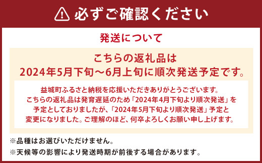 小玉 すいか 2玉 入り 1玉1.5kg 以上 西瓜