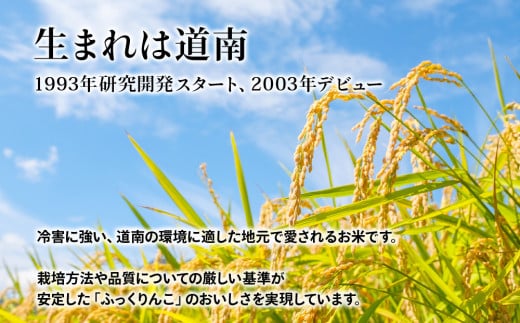 【新米発送】★定期便★ 知内産 ふっくりんこ 玄米 10kg×3回 JA新はこだて 知内町 ふるさと納税 玄米 こめ 北海道産お米 北海道米 美味しいお米 北海道産米 ブランド米