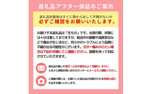 【数量・期間限定】幻の梨 「かほり梨」 5kg 秋田県能代市産