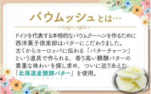 【先行予約】【期間限定】瀬戸内レモンのル・クプル ～カップルバームクーヘン「バウムッシュ」と「バウマダム」のアソート～【2024年6月～8月末日お届け】  [A-0806]