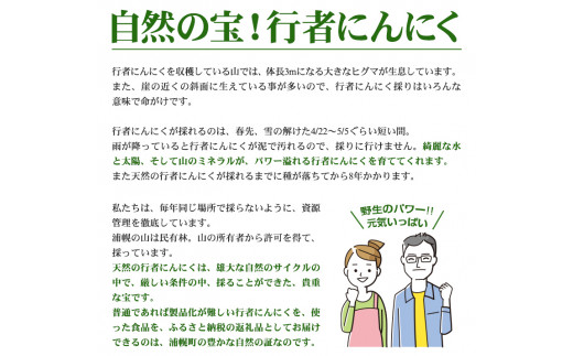 春採り先行予約！天然生行者にんにく500g 旬の時期に収穫・発送【4月下旬頃から順次発送】