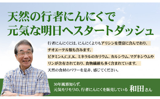 春採り先行予約！天然生行者にんにく500g 旬の時期に収穫・発送【4月下旬頃から順次発送】