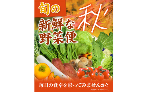 旬の新鮮な 野菜便 10月秋便 8～10品 《2024年10月上旬-10月中旬出荷》アグリサポート美馬 秋野菜 大根 かぼちゃ すだち さつまいも ブロッコリー 次郎柿 ほうれん草 ミニトマト 野菜 青果物 送料無料 徳島県 美馬市