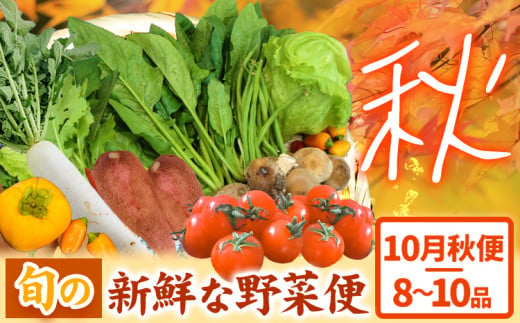 旬の新鮮な 野菜便 10月秋便 8～10品 《2024年10月上旬-10月中旬出荷》アグリサポート美馬 秋野菜 大根 かぼちゃ すだち さつまいも ブロッコリー 次郎柿 ほうれん草 ミニトマト 野菜 青果物 送料無料 徳島県 美馬市