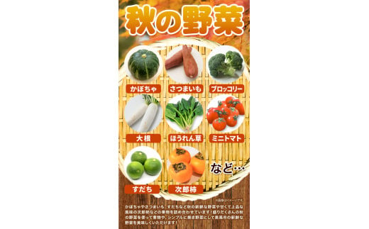 旬の新鮮な 野菜便 10月秋便 8～10品 《2024年10月上旬-10月中旬出荷》アグリサポート美馬 秋野菜 大根 かぼちゃ すだち さつまいも ブロッコリー 次郎柿 ほうれん草 ミニトマト 野菜 青果物 送料無料 徳島県 美馬市