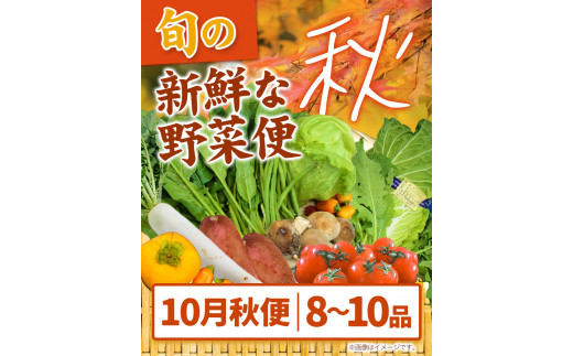 旬の新鮮な 野菜便 10月秋便 8～10品 《2024年10月上旬-10月中旬出荷》アグリサポート美馬 秋野菜 大根 かぼちゃ すだち さつまいも ブロッコリー 次郎柿 ほうれん草 ミニトマト 野菜 青果物 送料無料 徳島県 美馬市