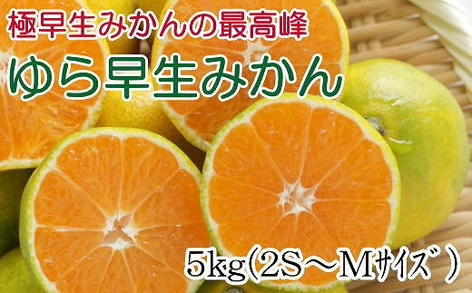 【極早生みかんの逸品】有田産ゆら早生みかん 約5kg