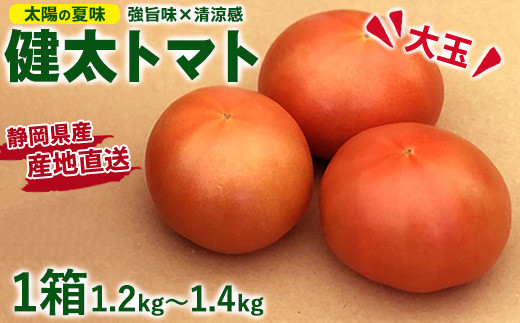 【先行受付】太陽の夏味 健太トマト 約1.2kg～1.4kg×1箱 ｜ 大玉トマト トマト とまと 甘い 野菜 やさい リコピン ヘルシー 新鮮 産地直送
※2024年7月下旬頃～9月中旬頃に順次発送予定