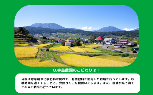 りんご サンふじ 家庭用 5kg 寺島農園 沖縄県への配送不可 2024年11月下旬頃から2025年1月中旬頃まで順次発送予定 令和6年度収穫分 信州 果物 フルーツ リンゴ 林檎 長野 予約 農家直送 長野県 飯綱町 [0770]