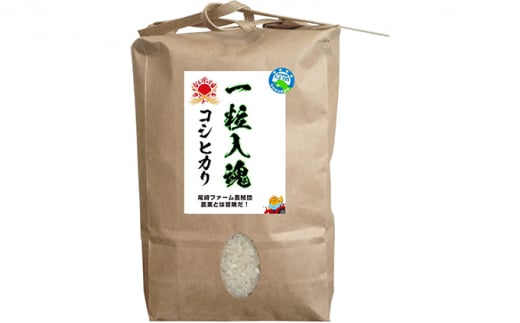 令和6年産 栽培期間中減農薬 コシヒカリ 5kg　白米[№5580-7040]0780