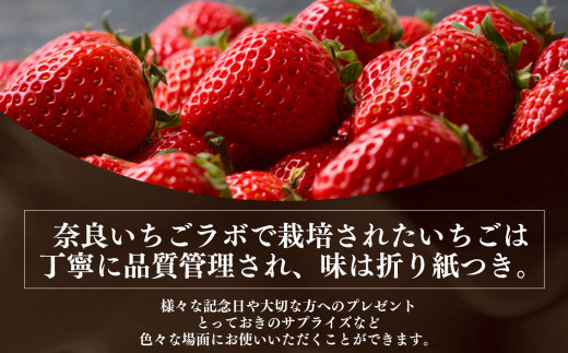 贈答用 いちご 平群の 古都華 ＆ 淡雪 ＆ パールホワイト L ～ 2Lサイズ （2パック×2ケース） 計4パック 奈良いちごラボ 1月発送 | フルーツ果物 くだもの いちご 苺 イチゴストロベリー 古都華旬 淡雪 パールホワイト 豪華 セット 奈良県 平群町