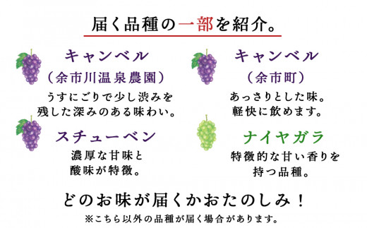 【定期便3ヵ月】りんご&ぶどうリキュール計2本【品種おまかせ】〈余市リキュールファクトリー〉