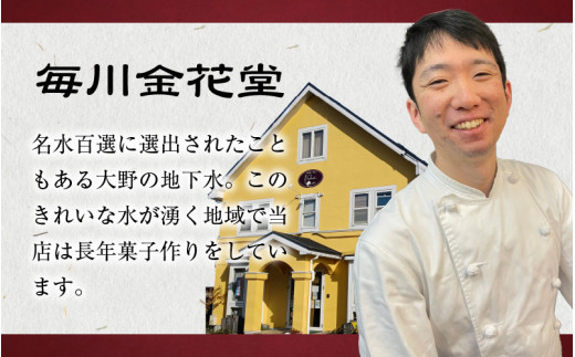 【先行予約】越前おおの　毎川金花堂　でっち羊かん小サイズ（500g）×2箱【11月～順次発送】