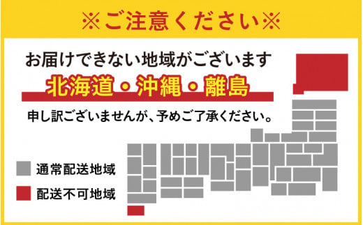 【先行予約】越前おおの　毎川金花堂　でっち羊かん小サイズ（500g）×2箱【11月～順次発送】