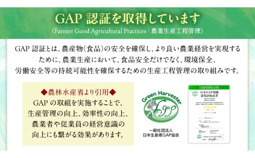 【 ファーム大畑 】 まろ福生椎茸 1kg 椎茸 しいたけ GAP規範 ジューシー ビタミンD 葉酸 グアニル酸 遊離グルタミン酸 和風パスタ 味噌汁 炒め物 佃煮 和洋中 [AK004ci]