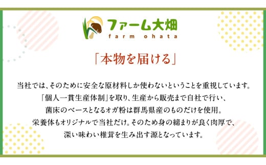 【 ファーム大畑 】 まろ福生椎茸 1kg 椎茸 しいたけ GAP規範 ジューシー ビタミンD 葉酸 グアニル酸 遊離グルタミン酸 和風パスタ 味噌汁 炒め物 佃煮 和洋中 [AK004ci]