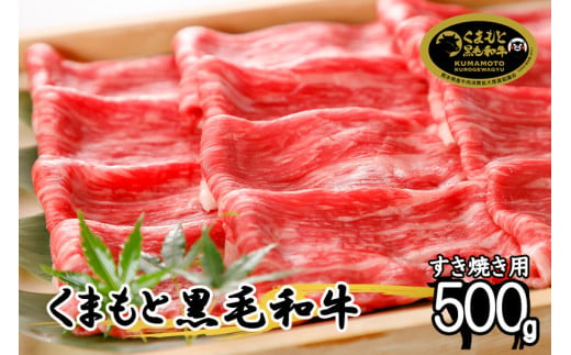 【令和7年3月出荷分】くまもと黒毛和牛500g（すき焼き用）