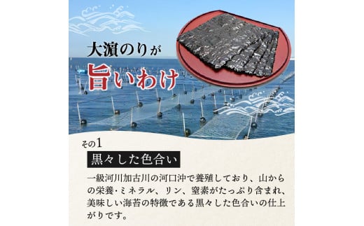 兵庫加古川産 一番摘み【新海苔】焼のり[2025年1月より順次発送]《 のり 海苔 一番摘み 期間限定 》【2402D01307】