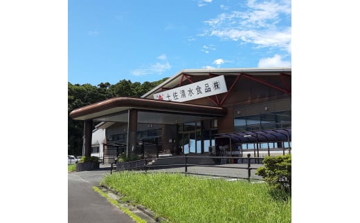 姫かつおスティック 1本 （塩レモン味） おつまみ おかず かつお 鰹 スティック プロテイン バー 保存食 スポーツ 筋トレ タンパク質 ダイエット 災害備蓄 そのまま丸かじり！【R01107】