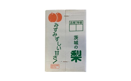 【 2025年8月下旬発送開始 】 茨城県産 梨 豊水 （約 5kg ） 10～16玉  梨 なし 和梨 日本梨 果物 フルーツ 新鮮 旬 期間限定 国産 先行予約