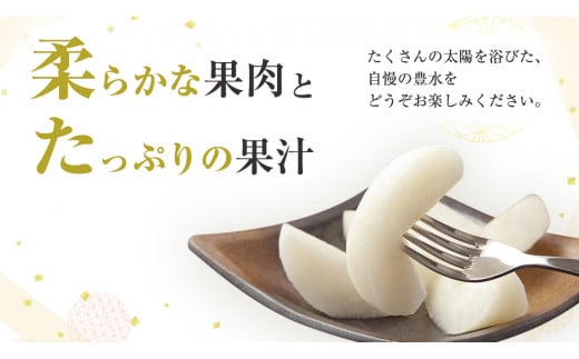 【 2025年8月下旬発送開始 】 茨城県産 梨 豊水 （約 5kg ） 10～16玉  梨 なし 和梨 日本梨 果物 フルーツ 新鮮 旬 期間限定 国産 先行予約