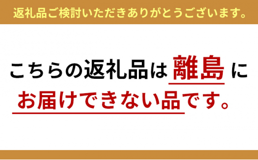 オフィス家具のプロが作る在宅ワーク向けデスク　天板：ブラック、脚：グレー [№5644-7043]1104