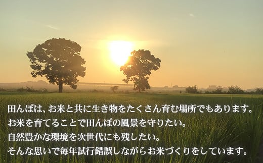 【令和6年産新米】 彩のきずな　白米　3kg