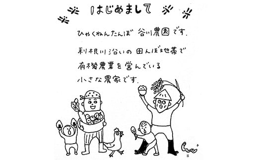 【令和6年産新米】 彩のきずな　白米　3kg